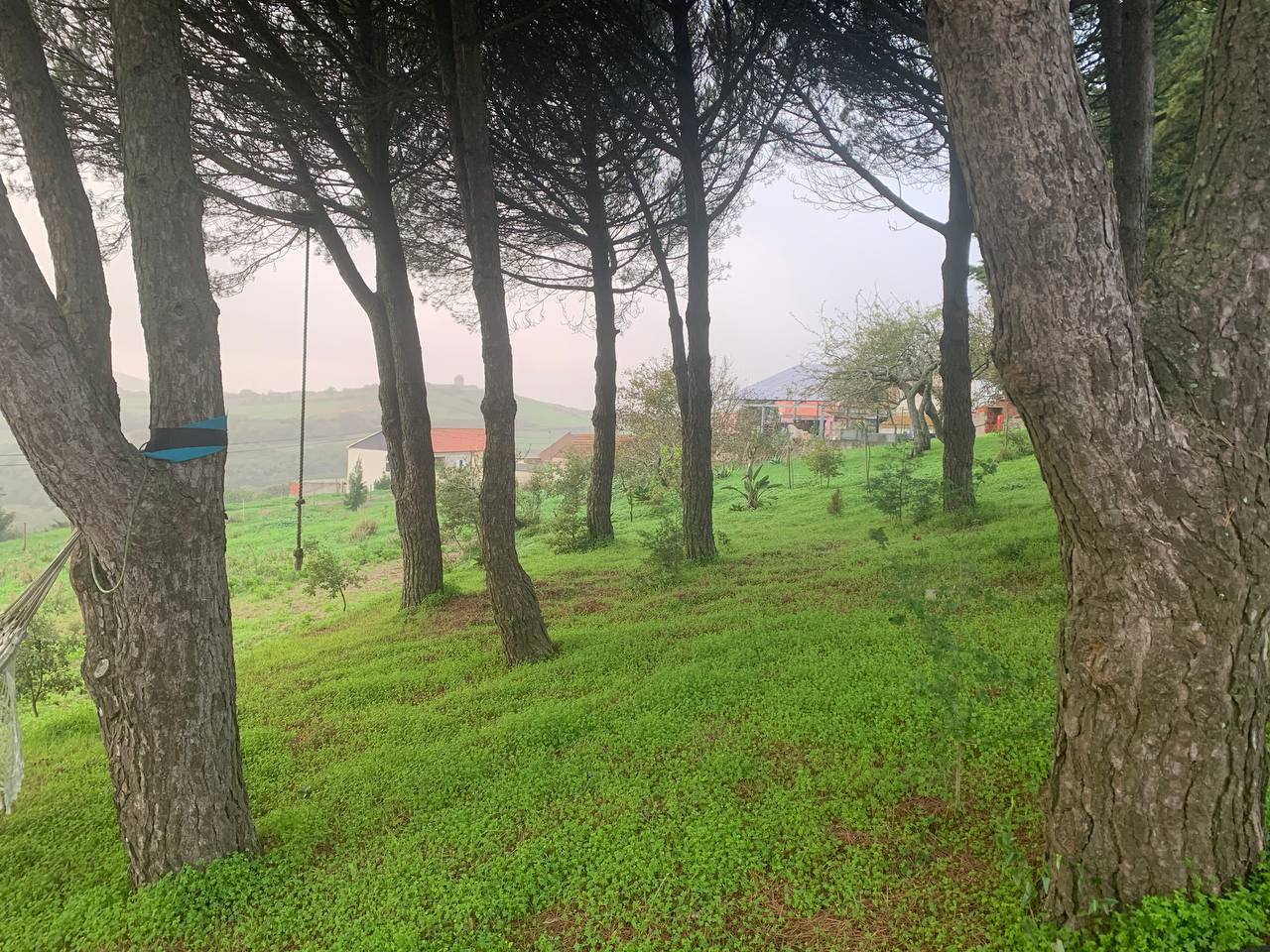 Fools Valley — evening light